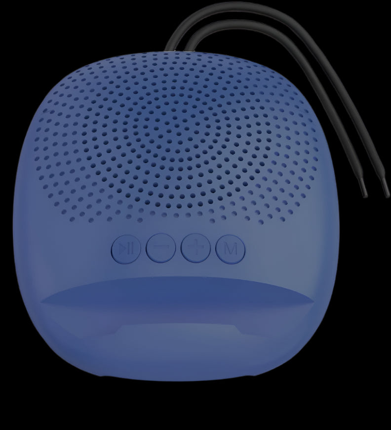 RUNIXX DOUBLE IMPACT SPEAKER