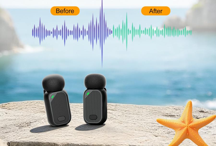 Two mics on a rock by the sea with a before and after waveform